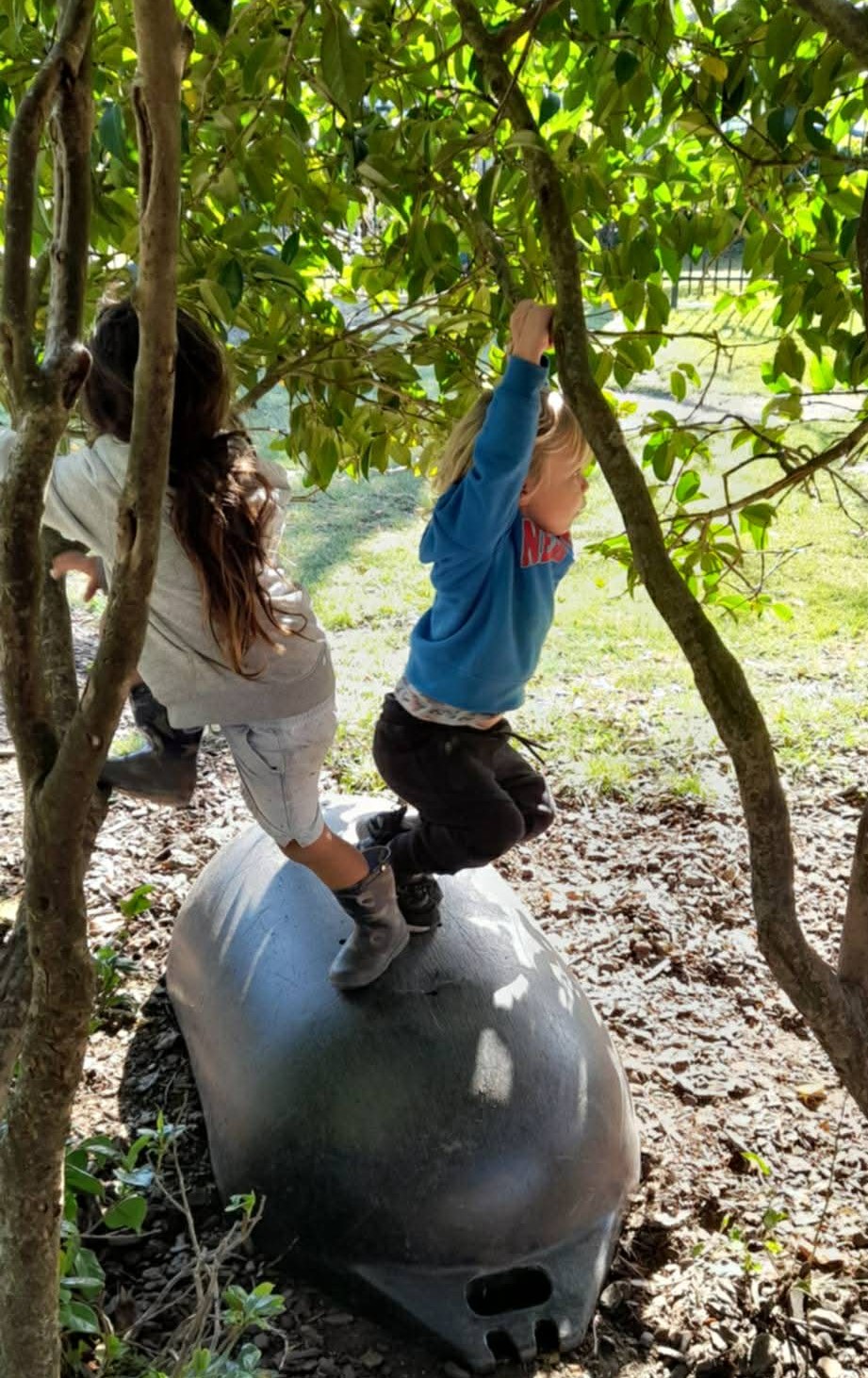 Early Explorers preparing for school transition